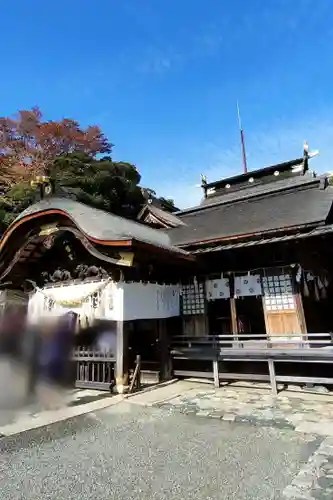 飯野八幡宮の本殿・本堂