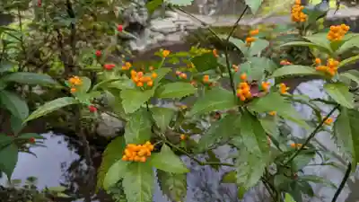 岩屋寺(京都府)