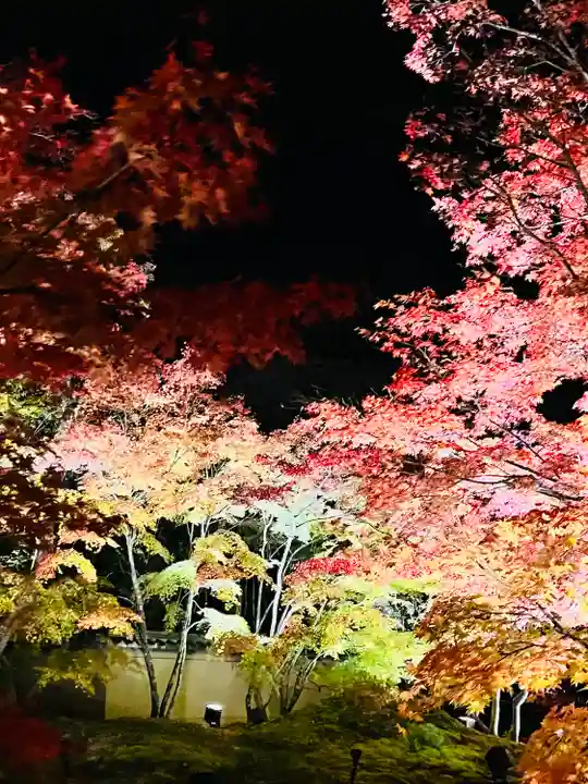 円通院(宮城県)