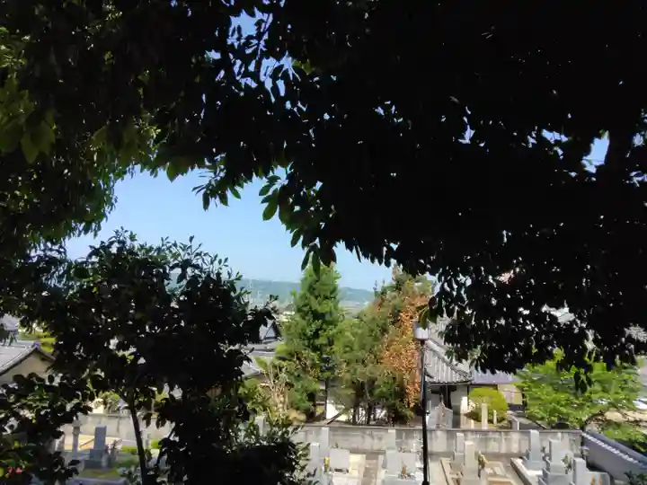 野々上八幡神社(大阪府)