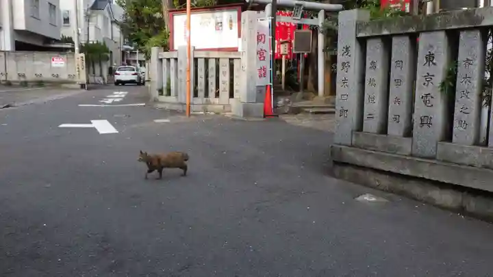品川貴船神社の動物