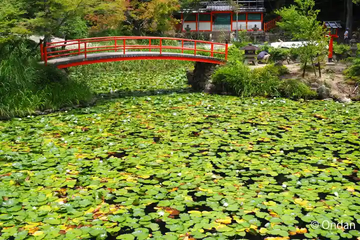 大原野神社(京都府)