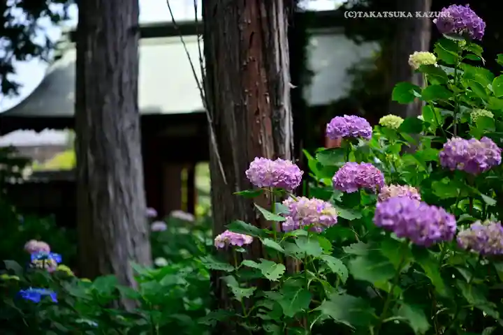 仙波東照宮(埼玉県)
