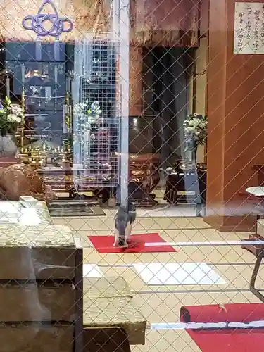 善成寺の本殿・本堂