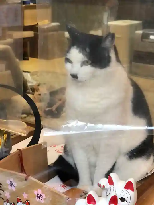 王子神社の動物