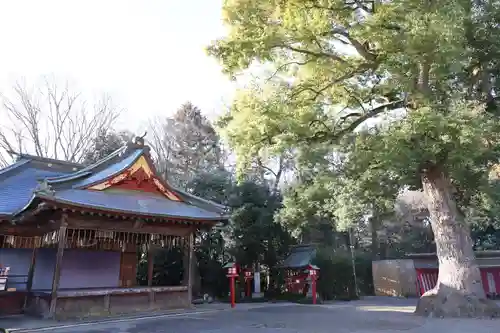鷲宮神社(埼玉県)
