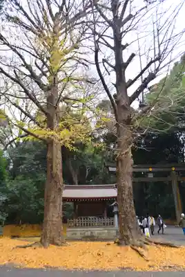 明治神宮(東京都)