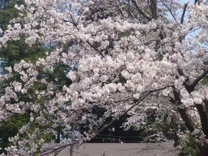宇都母知神社(神奈川県)