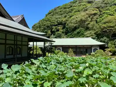 光明寺(神奈川県)