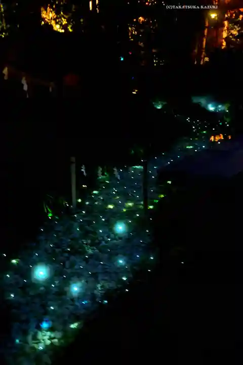 川越氷川神社(埼玉県)