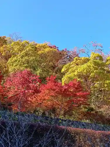 朝護孫子寺(奈良県)