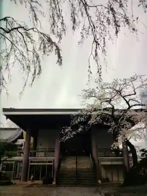 常圓寺(東京都)