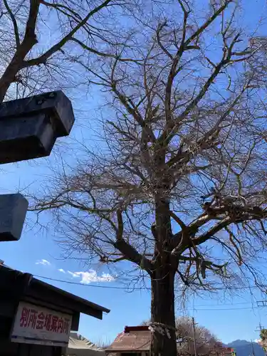 八幡社（小田原市曽我別所）(神奈川県)
