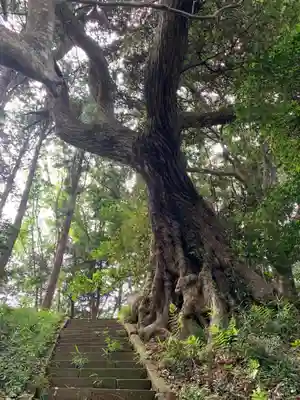 片子神社(千葉県)