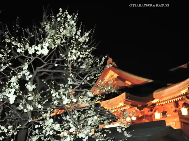 湯島天満宮(東京都)