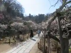 東慶寺の建物その他