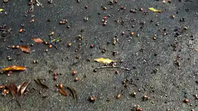 日祭神社(福島県)