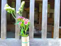 慈雲山 安楽寺の自然