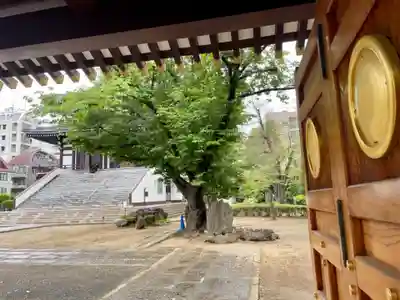 霊雲寺のその他建物