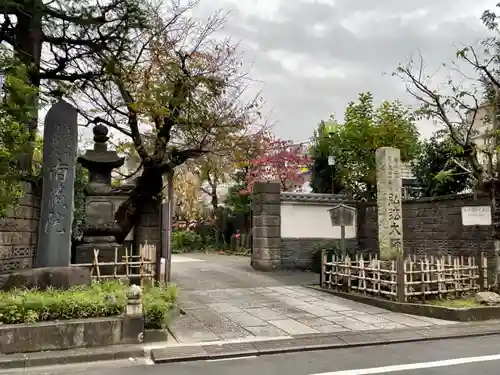 薬師寺　南蔵院 の山門