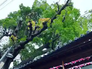 阿保神社(大阪府)(2023年07月02日(日) 10時47分33秒投稿)