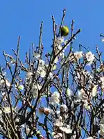 長谷寺(神奈川県)