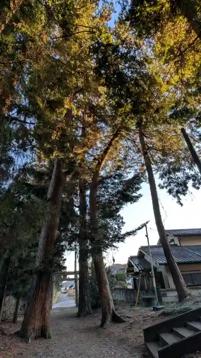 生子神社の{uncategorized: "未分類", other: "その他", undefined: "問題あり", building: "その他建物", grave: "お墓", sacred_gate: "鳥居", guardian: "狛犬", statue: "像", buddha: "仏像", history: "歴史", nature: "自然", garden: "庭園", animal: "動物", pagoda: "塔", temizu: "手水舎", mountain_gate: "山門・神門", sanctuary: "本殿・本堂", subordinate: "末社・摂社", art: "芸術", scenery: "景色", jizo: "地蔵", ema: "絵馬", goshuin: "御朱印", omikuji: "おみくじ", items: "授与品その他", amulet: "お守り", goshuincho: "御朱印帳", eats: "食事", festival: "お祭り", votive_dance: "神楽", shichigosan: "七五三参", wedding: "結婚式", experience: "体験その他", initially: "初詣", around: "周辺", anti_infection: "感染症対策"}
