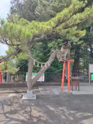 玉村八幡宮(群馬県)