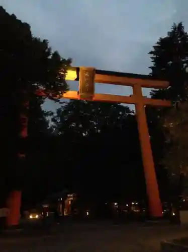 川越氷川神社の鳥居