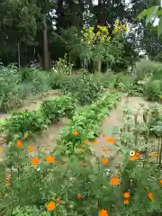 豊景神社の自然