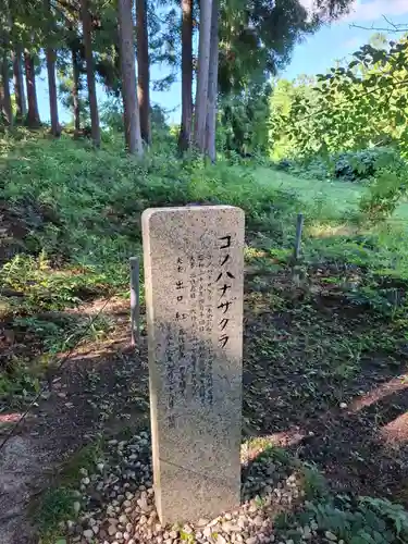 皆神神社の歴史