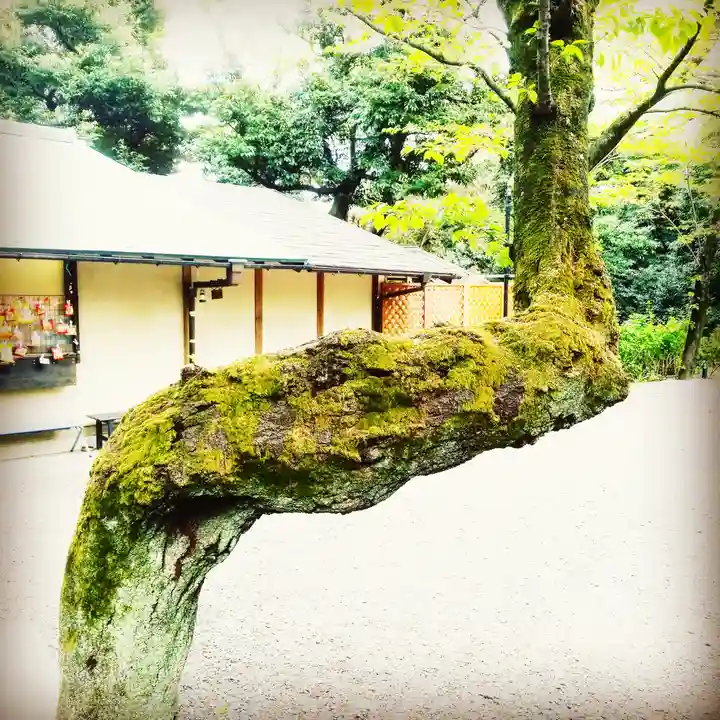 愛宕神社のその他建物