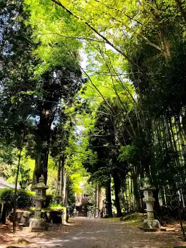 国造神社の建物その他