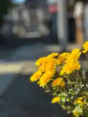 古町豊受大神宮の自然