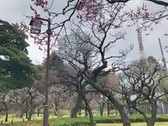 芝東照宮の周辺