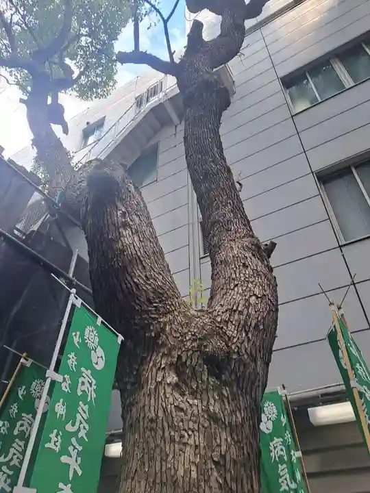 少彦名神社(大阪府)