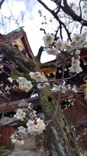 北野天満宮の自然