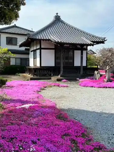 吉祥寺(群馬県)