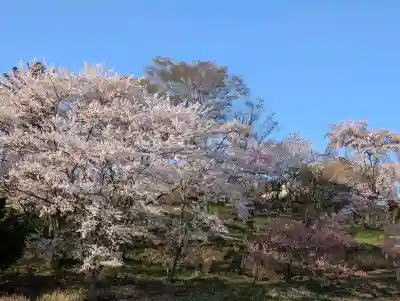 高屋敷稲荷神社の{uncategorized: "未分類", other: "その他", undefined: "問題あり", building: "その他建物", grave: "お墓", sacred_gate: "鳥居", guardian: "狛犬", statue: "像", buddha: "仏像", history: "歴史", nature: "自然", garden: "庭園", animal: "動物", pagoda: "塔", temizu: "手水舎", mountain_gate: "山門・神門", sanctuary: "本殿・本堂", subordinate: "末社・摂社", art: "芸術", scenery: "景色", jizo: "地蔵", ema: "絵馬", goshuin: "御朱印", omikuji: "おみくじ", items: "授与品その他", amulet: "お守り", goshuincho: "御朱印帳", eats: "食事", festival: "お祭り", votive_dance: "神楽", shichigosan: "七五三参", wedding: "結婚式", experience: "体験その他", initially: "初詣", around: "周辺", anti_infection: "感染症対策"}