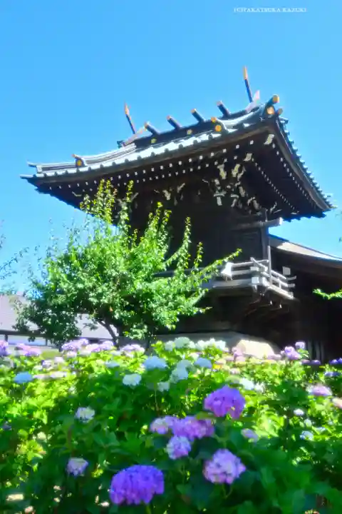 白山神社(東京都)