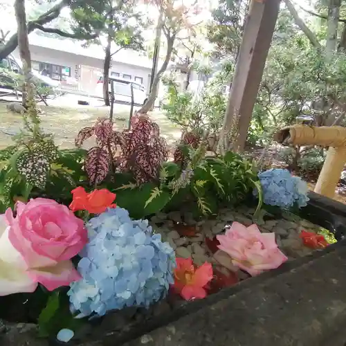 北広島市総鎮守　廣島神社の手水舎
