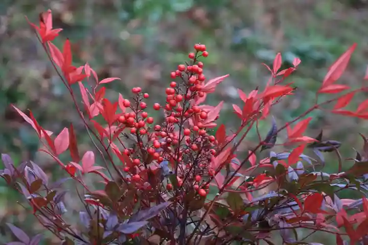 阿久津「田村神社」(郡山市阿久津町)旧社名:伊豆箱根三嶋三社の庭園