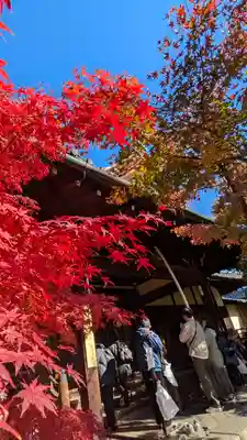 勝林寺(京都府)