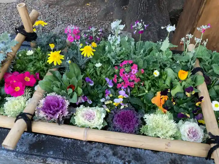 上目黒氷川神社の手水舎