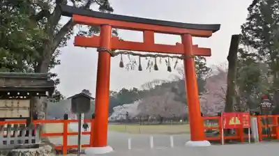 賀茂別雷神社(上賀茂神社)の鳥居