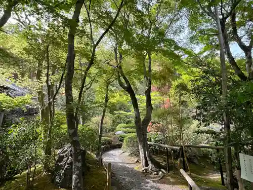華厳寺（鈴虫寺）(京都府)