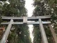 北口本宮冨士浅間神社の鳥居