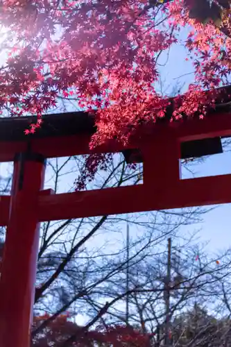 宇治上神社の鳥居