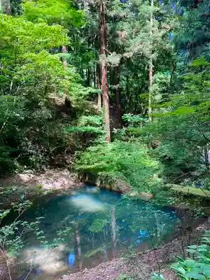 薬王院福徳弁財天洞のその他建物