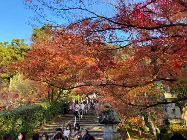 禅林寺(永観堂)(京都府)